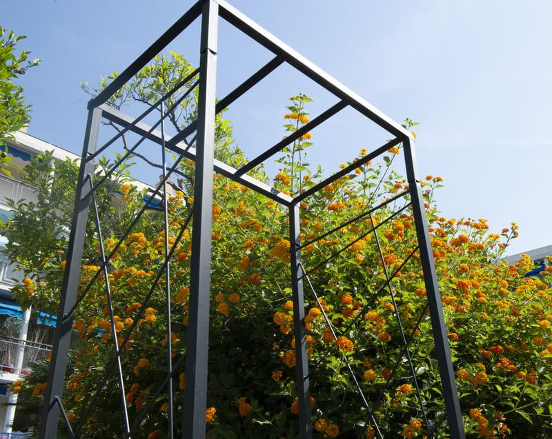 Quelles plantes choisir pour une arche de jardin ?