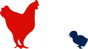 qui-es-le-coq_0010.png